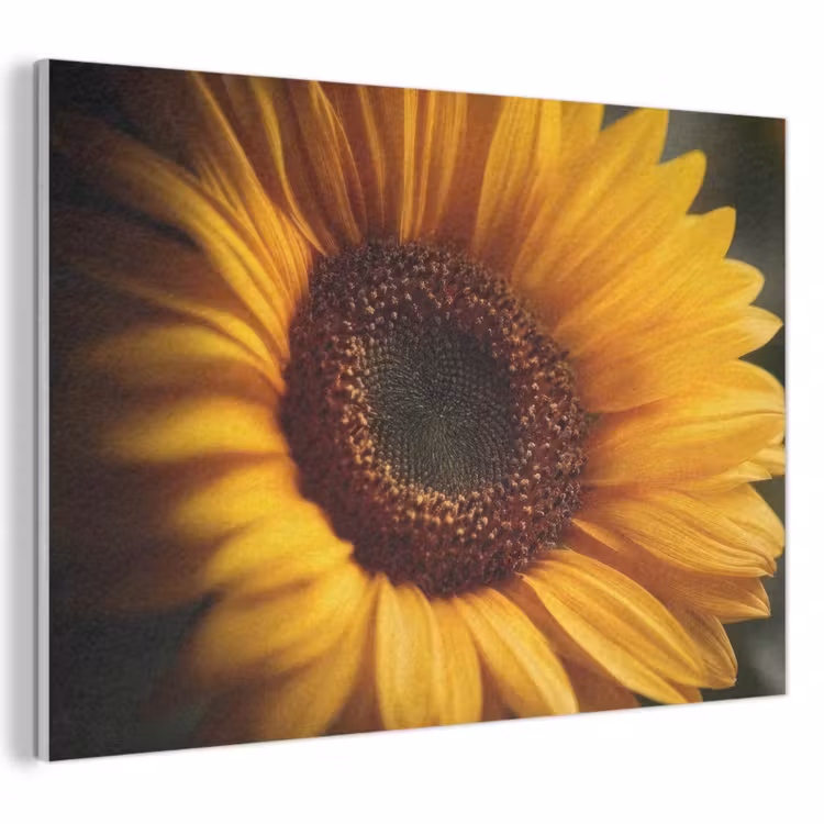 Akoestisch schilderij - Geel - Zonnebloem - Zomers — 1