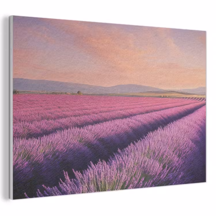 Akoestisch schilderij - Lavendelveld - Zonsondergang - Paars - Bloemen — 1