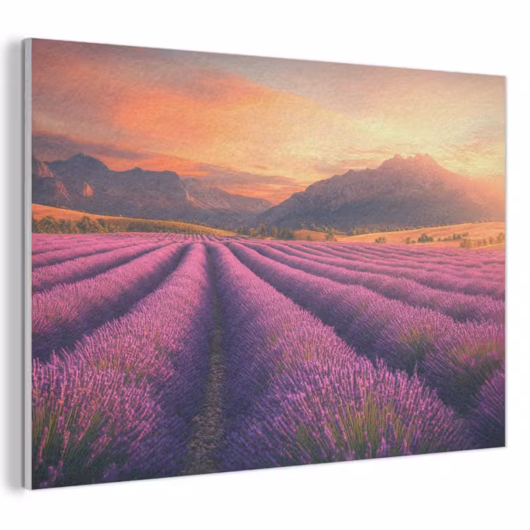 Akoestisch schilderij - Lavendelveld - Zonsondergang - Paars — 1