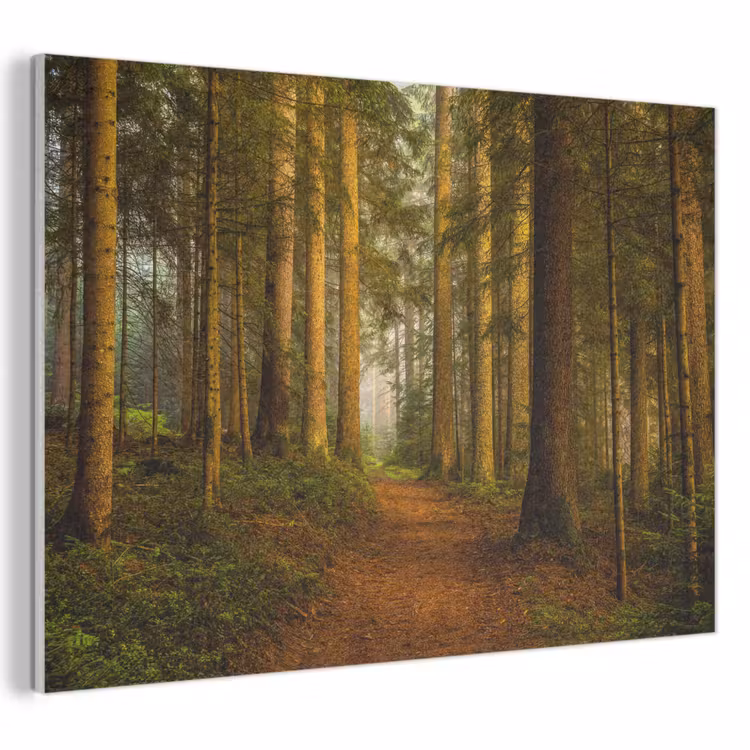 Akoestisch schilderij - Bos - Natuur - Bomen - Landschap - Bladeren — 1
