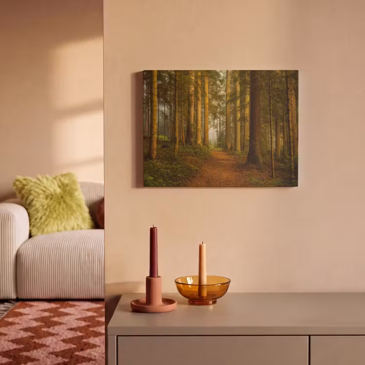 Akoestisch schilderij - Bos - Natuur - Bomen - Landschap - Bladeren — 2