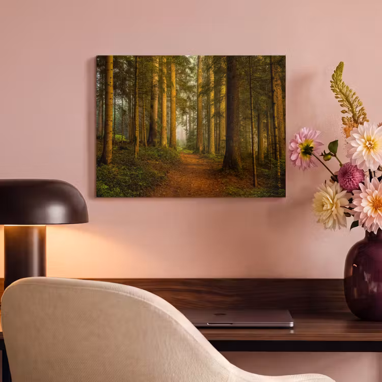 Akoestisch schilderij - Bos - Natuur - Bomen - Landschap - Bladeren — 4