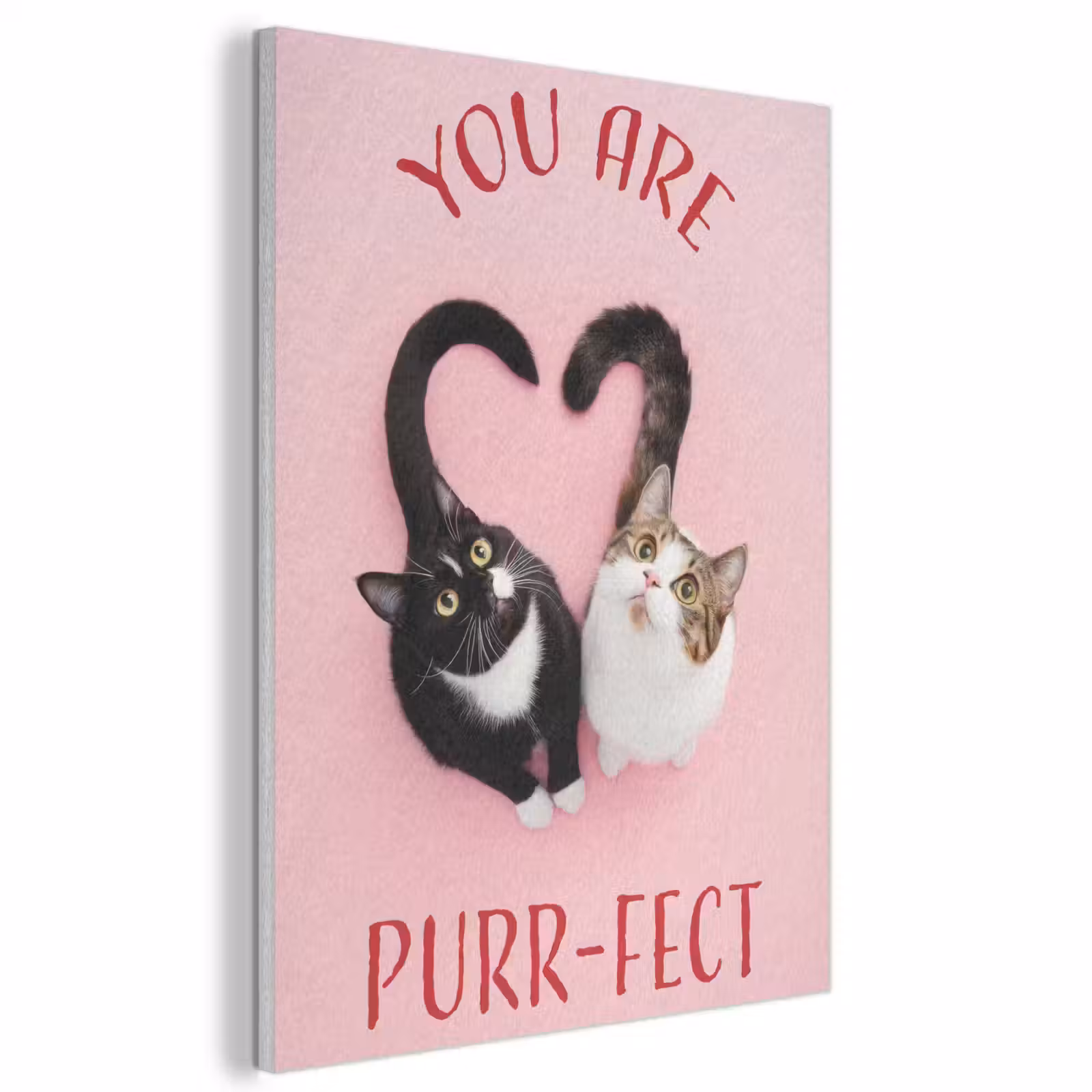 Akoestisch schilderij - Kat - Hart - Tekst - Valentijn — 1