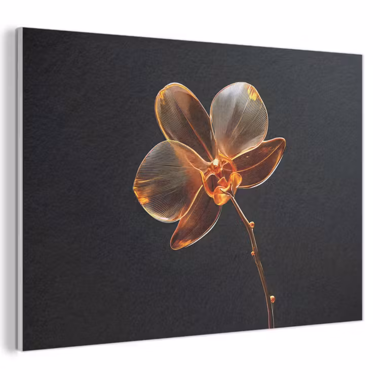 Akoestisch schilderij - Orchidee - Doorzichtig - Bloem — 1