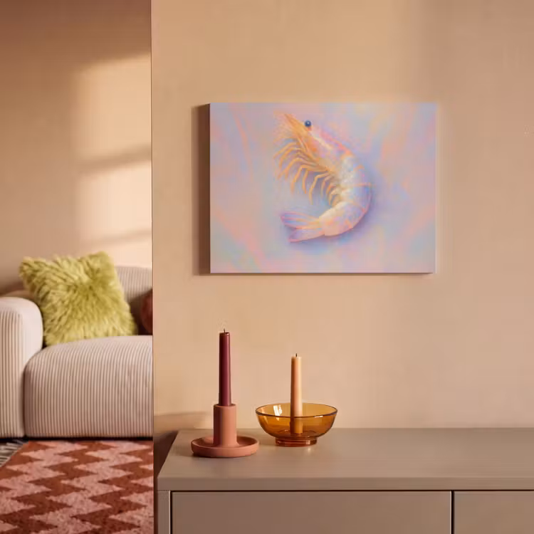 Akoestisch schilderij - Garnaal - Subtiele structuur - Blauw - Roze — 2