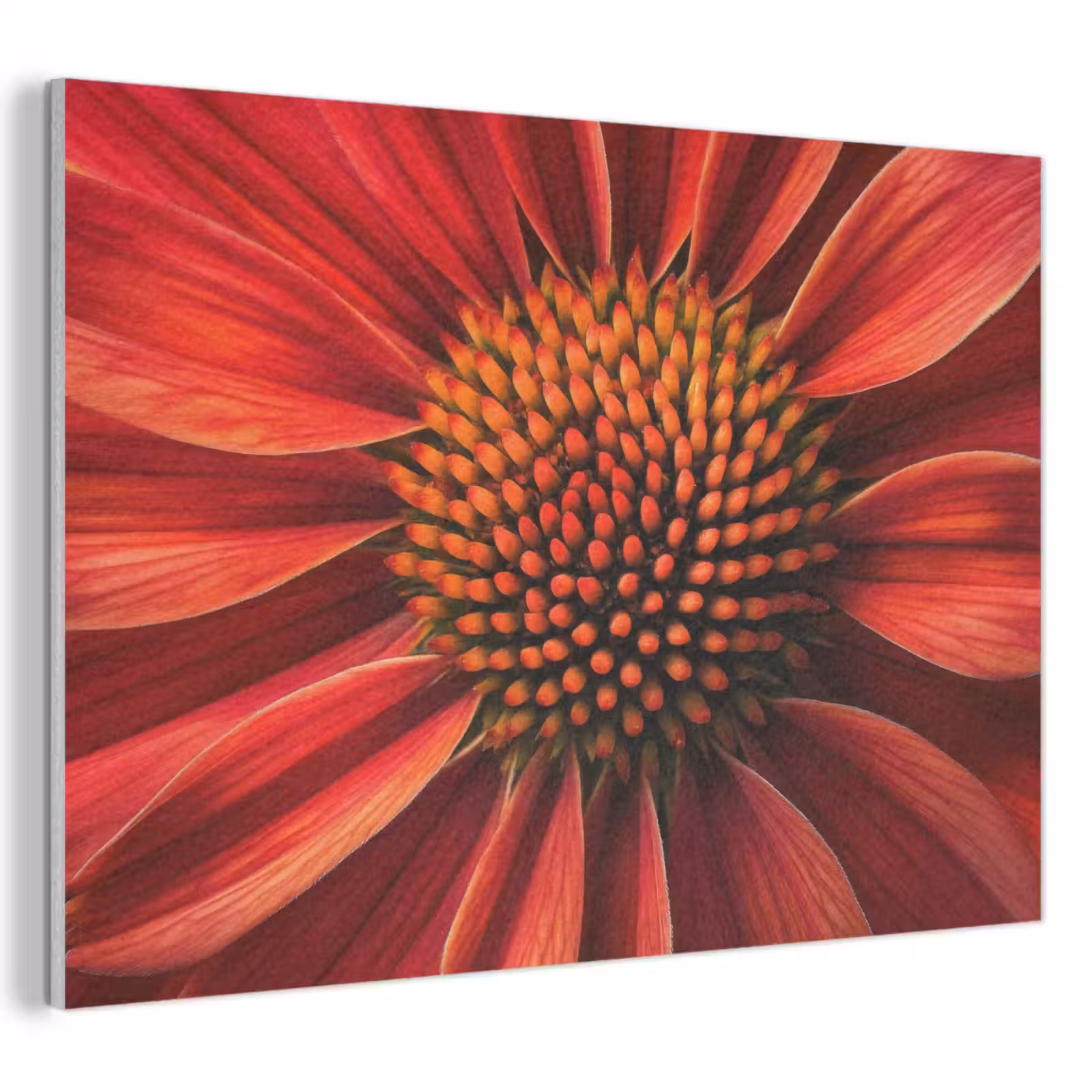 Akoestisch schilderij - Close up - Bloem- Rood — 1