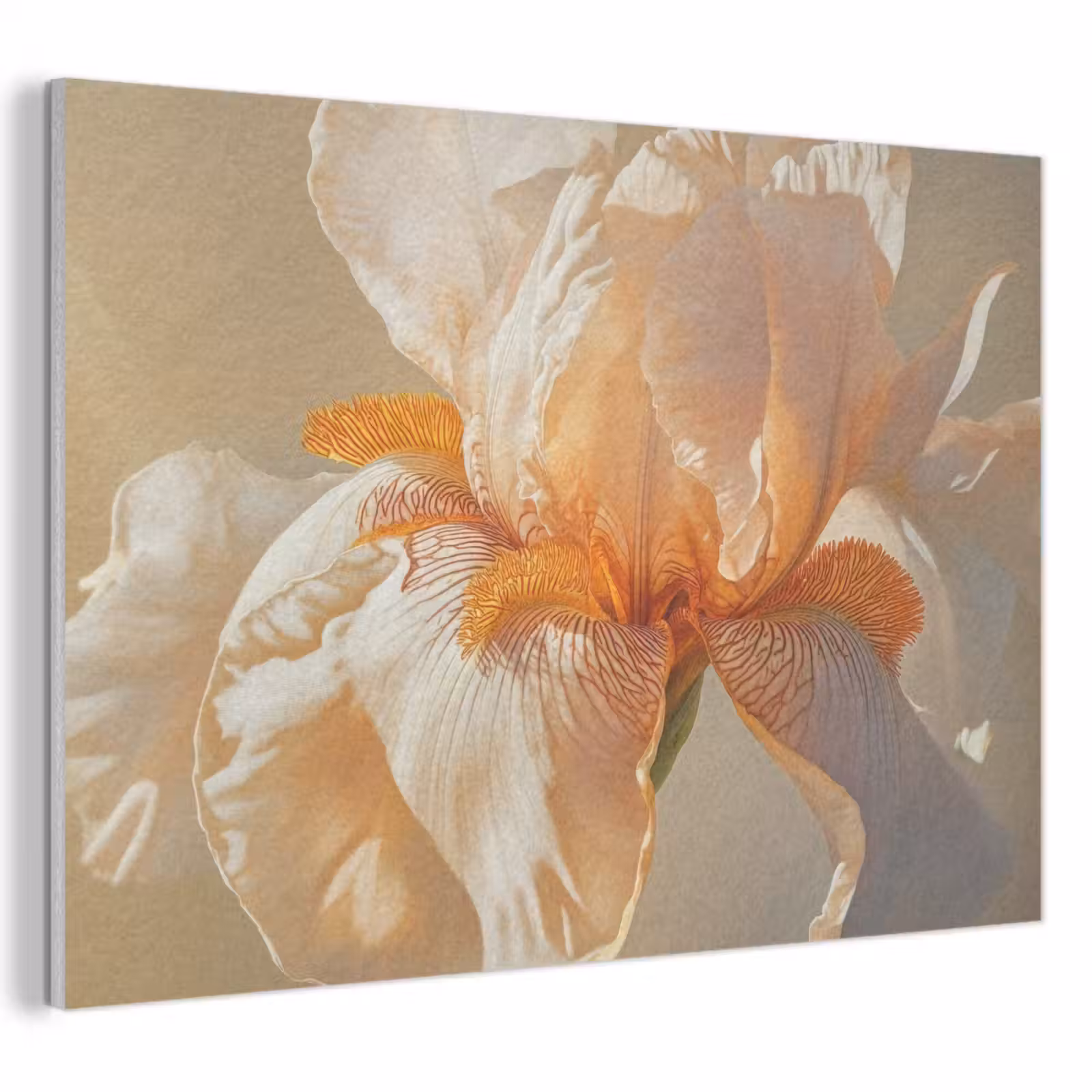 Akoestisch schilderij - Close up - Oranje - Iris — 1