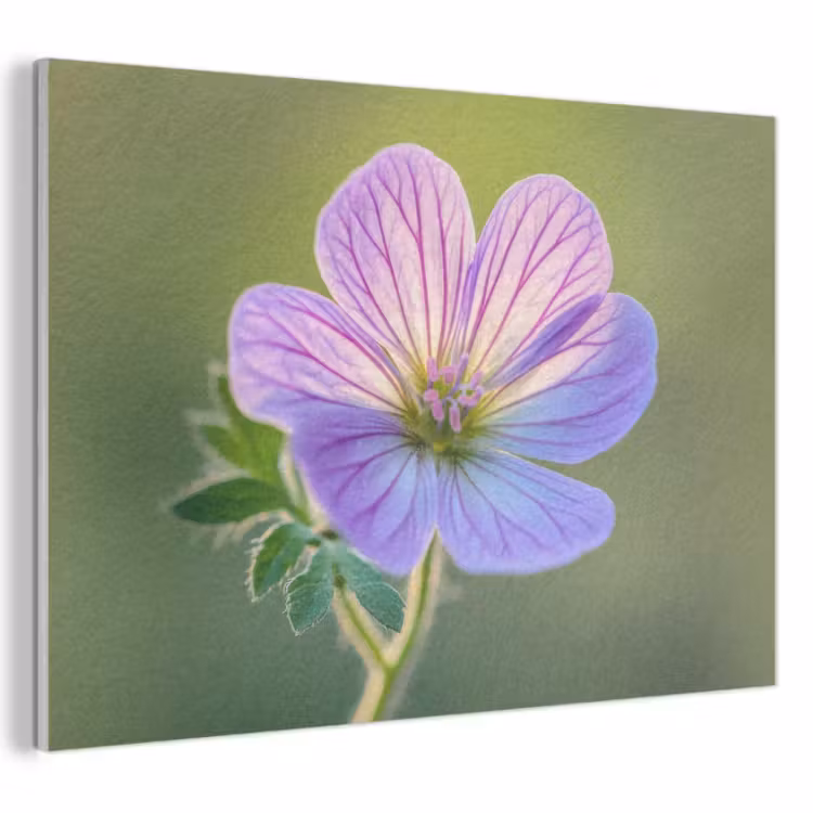 Akoestisch schilderij - Bloem - Close up - Paars — 1