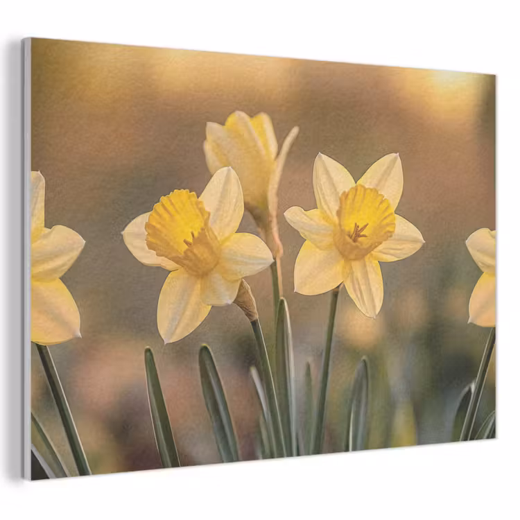 Akoestisch schilderij - Bloemen - Geel - Wazig — 1