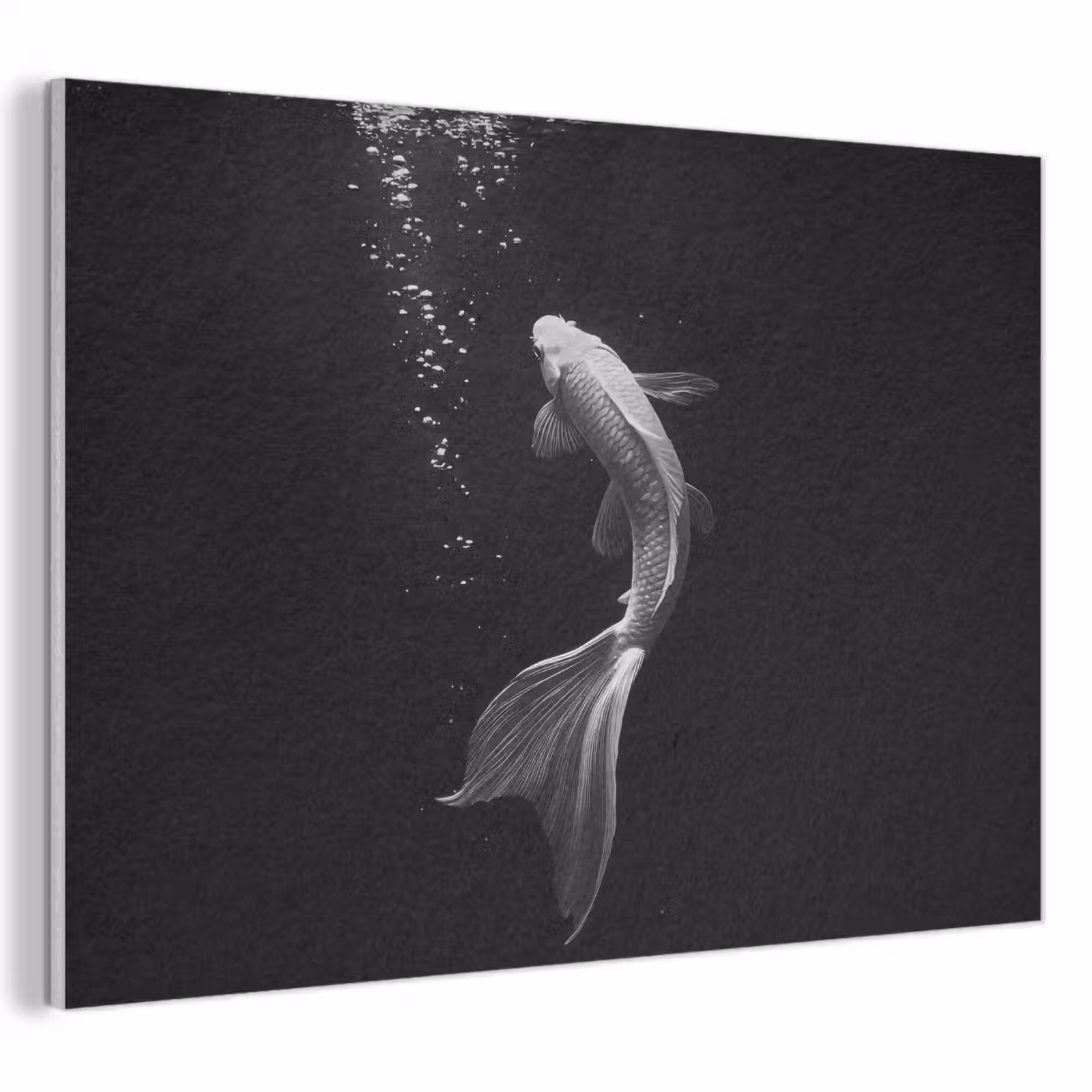 Akoestisch schilderij - Koi - Vis - Wit - Zwart — 1