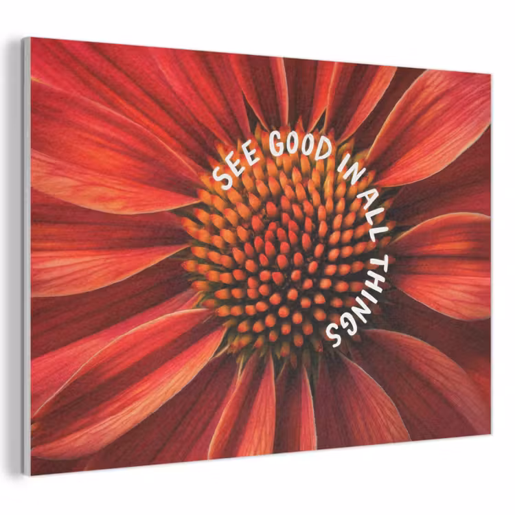 Akoestisch schilderij - Close up - Bloem - Quote - Rood — 1
