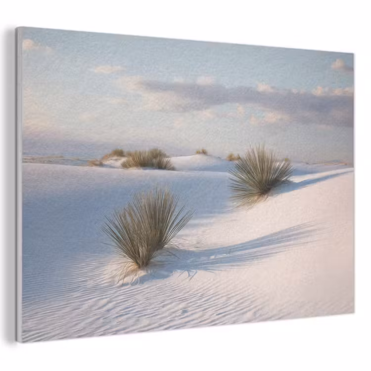 Akoestisch schilderij - Duinen - Gras - Wolken - Beige — 1