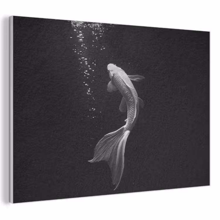 Akoestisch schilderij - Koi - Vis - Wit - Zwart — 1