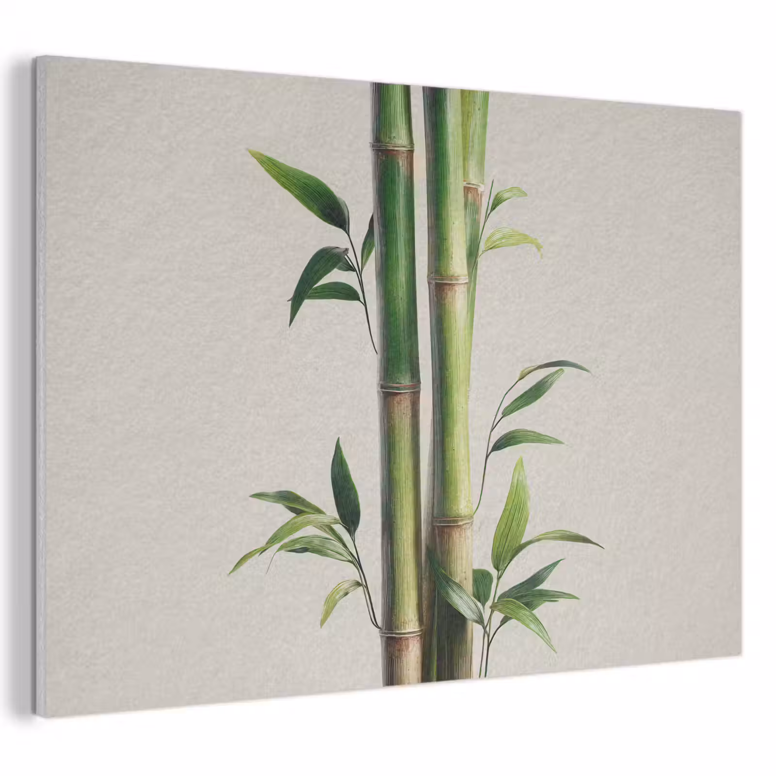 Akoestisch schilderij - Bamboestengels - Sierlijk - Groen — 1