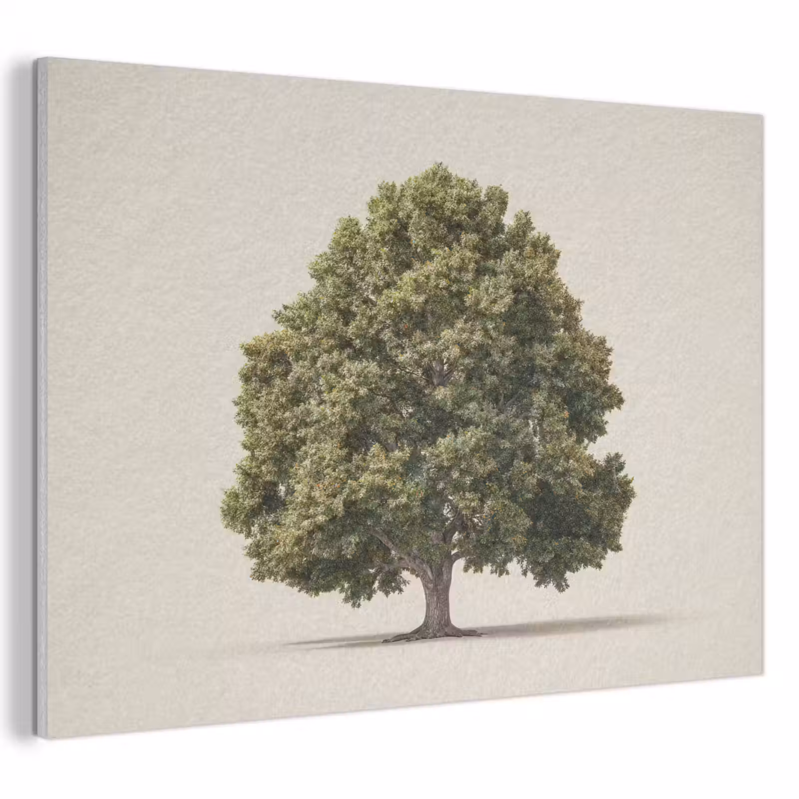 Akoestisch schilderij - Eikenboom - Groen - Lichte achtergrond — 1