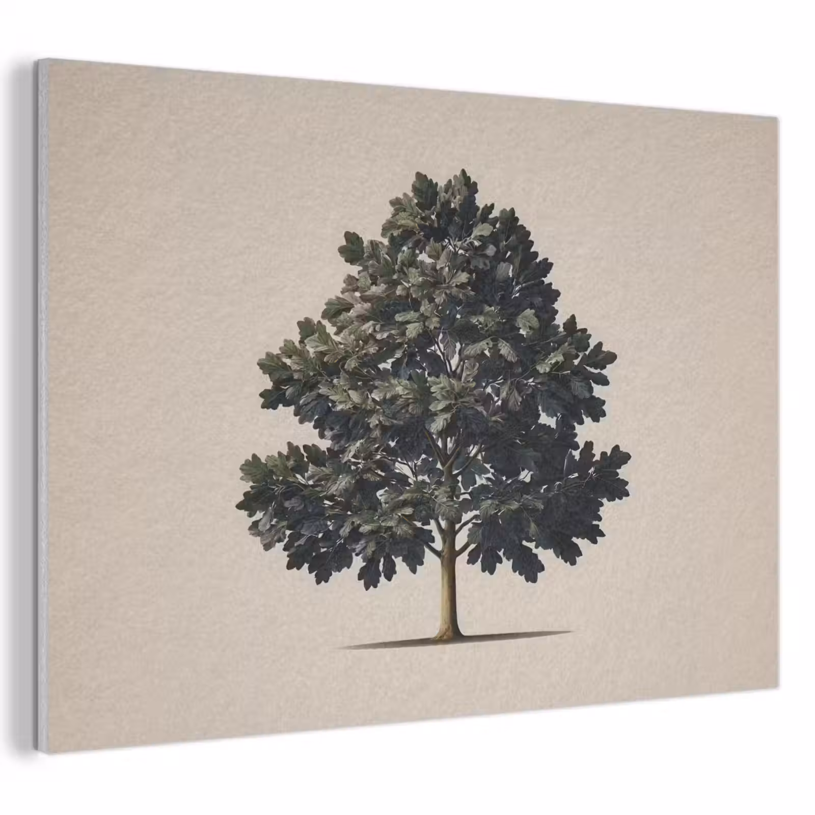 Akoestisch schilderij - Eikenboom - Schaduw - Egaal — 1