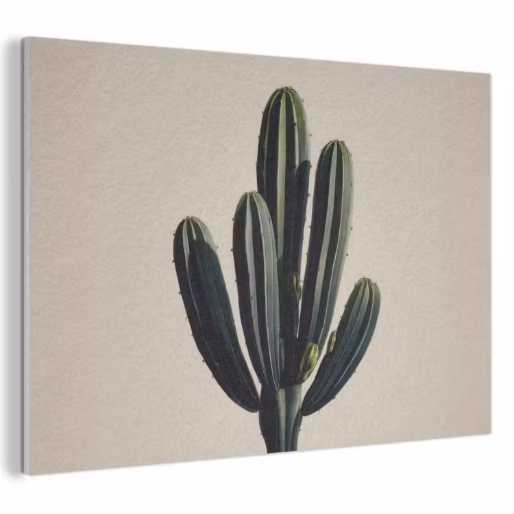 Akoestisch schilderij - Cactus - Subtiel - Groen — 1