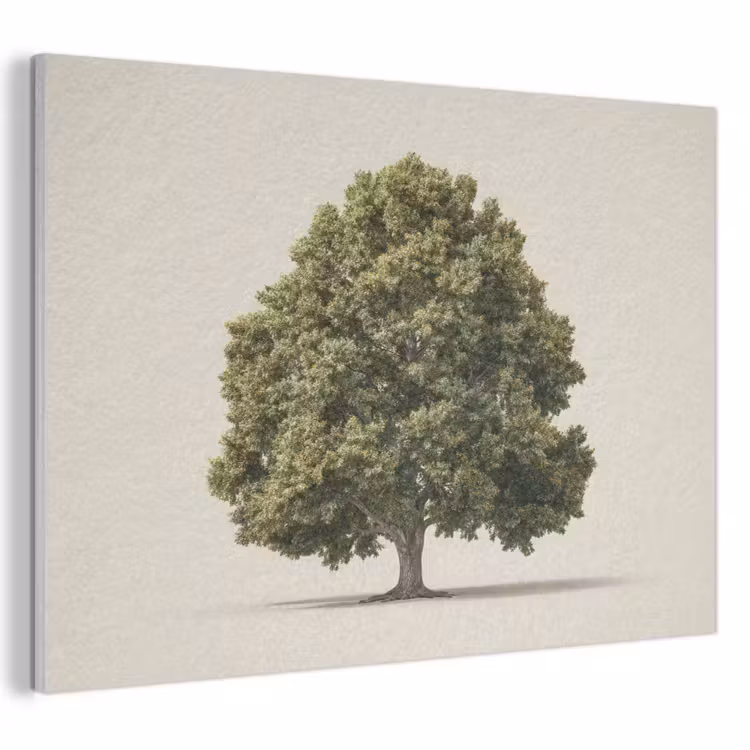 Akoestisch schilderij - Eikenboom - Groen - Lichte achtergrond — 1