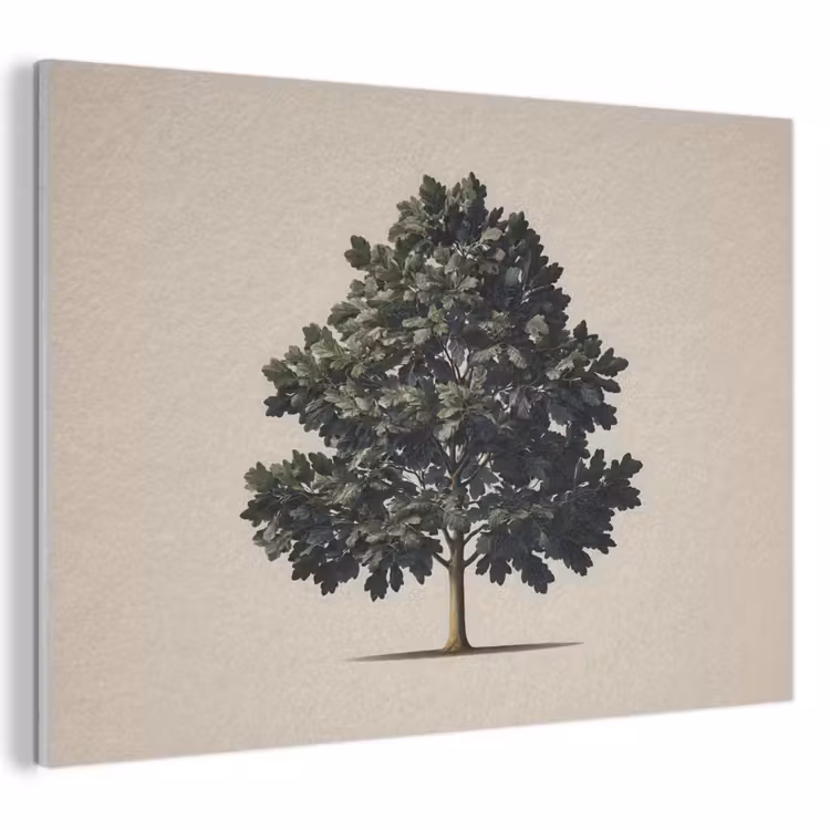 Akoestisch schilderij - Eikenboom - Schaduw - Egaal — 1