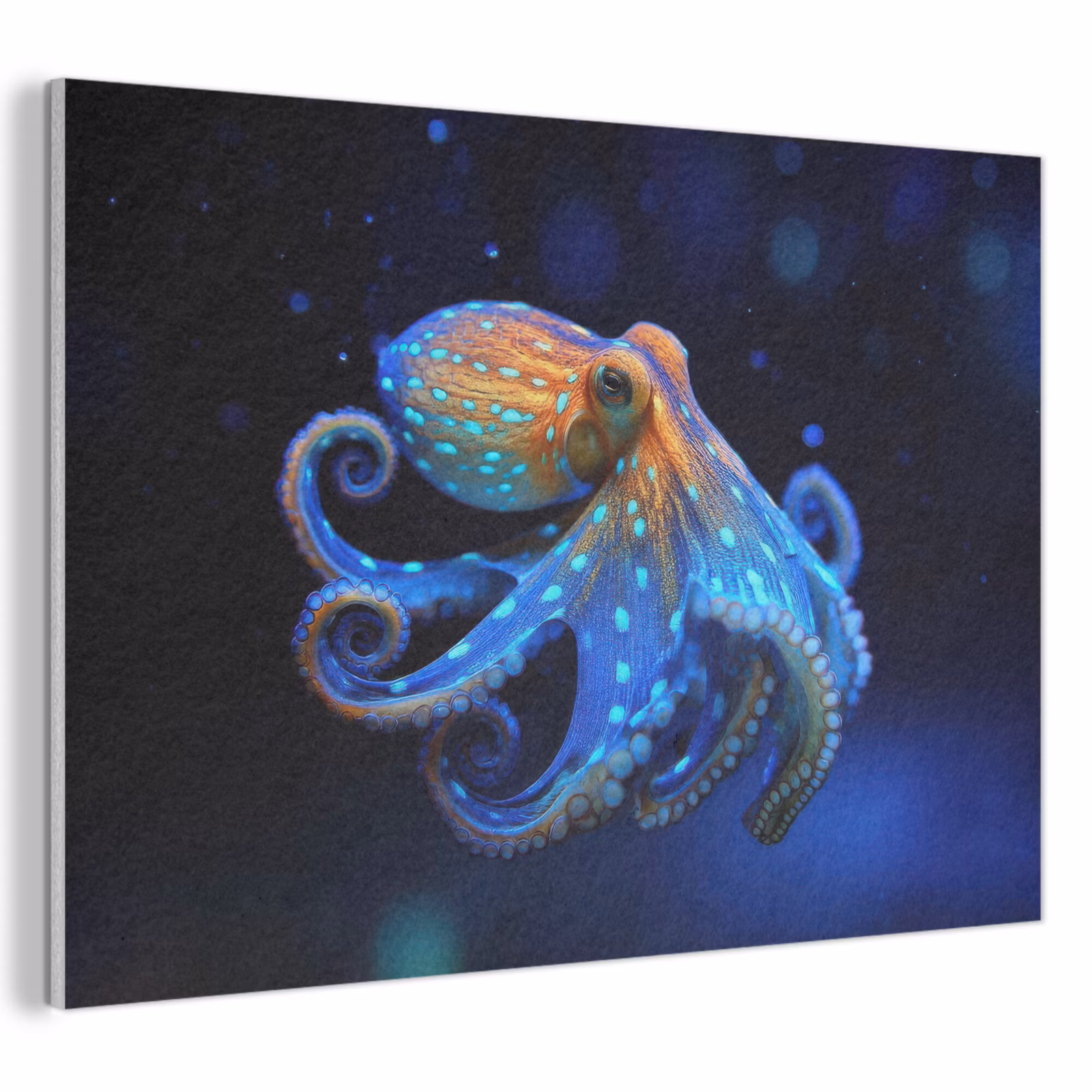 Akoestisch schilderij - Octopus - Stippen - Blauw - Zee — 1