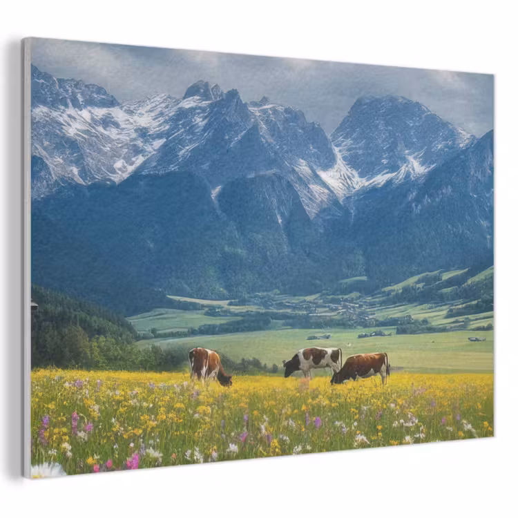 Akoestisch schilderij - Alpen - Weide - Bergen - Koeien — 1