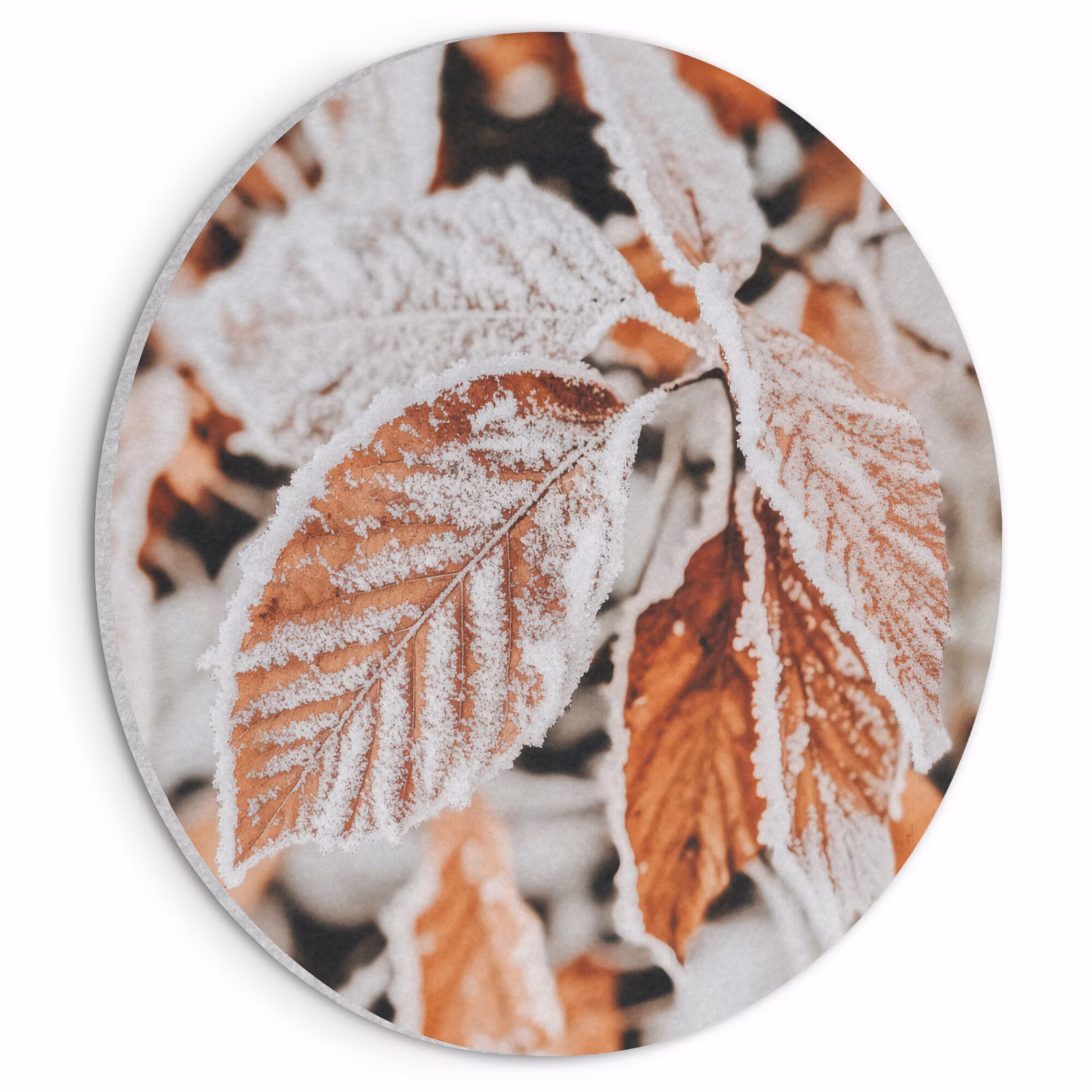 Akoestisch schilderij rond - Bladeren - IJs - Winter - Natuur — 1