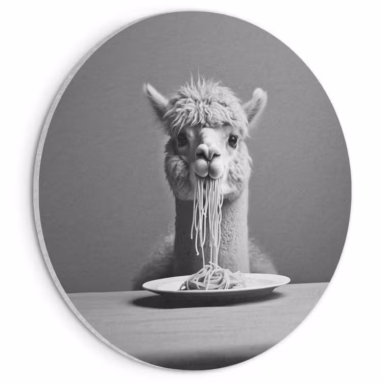 Akoestisch schilderij rond - Alpaca - Pasta - Zwart - Wit - Grappig - Dieren — 1