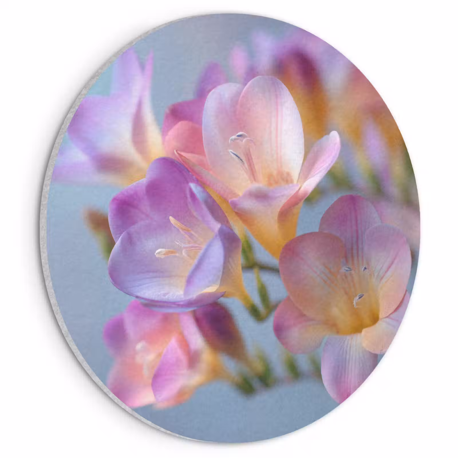 Akoestisch schilderij rond - Bloemen - Paars - Overloop - Meeldraden — 1