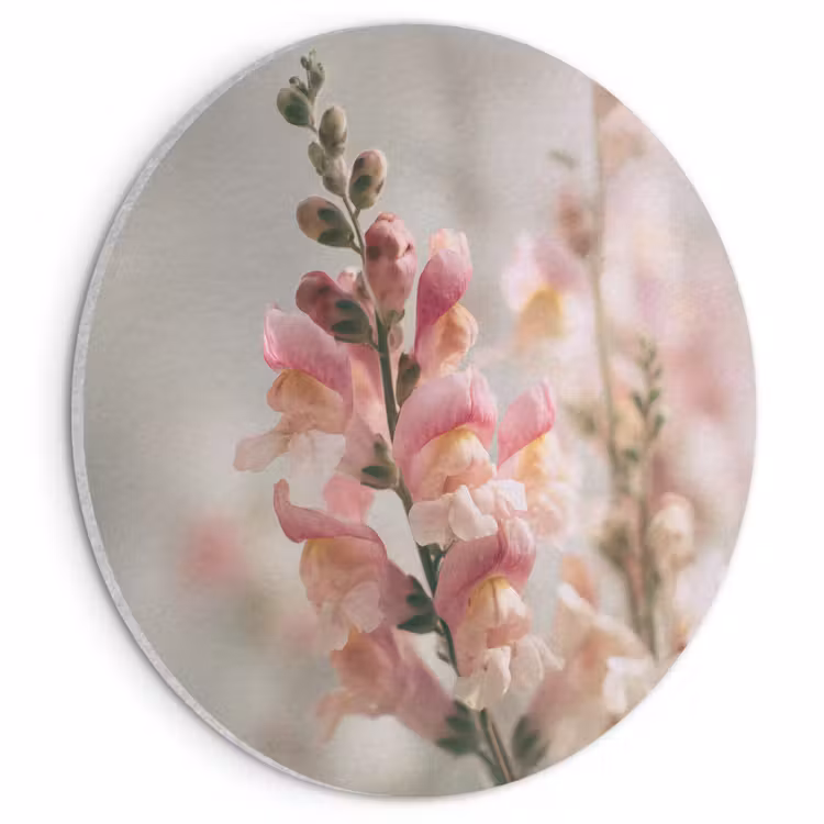 Akoestisch schilderij rond - Bloem - Leeuwenbek - Roze - Stengel — 1