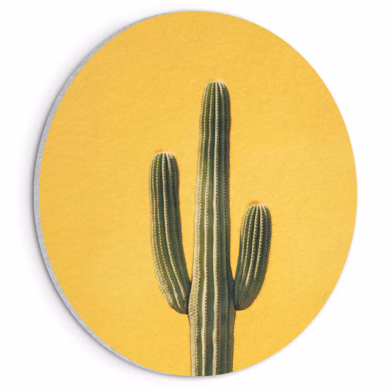 Akoestisch schilderij rond - Cactus - Groen - Minimalistisch — 1