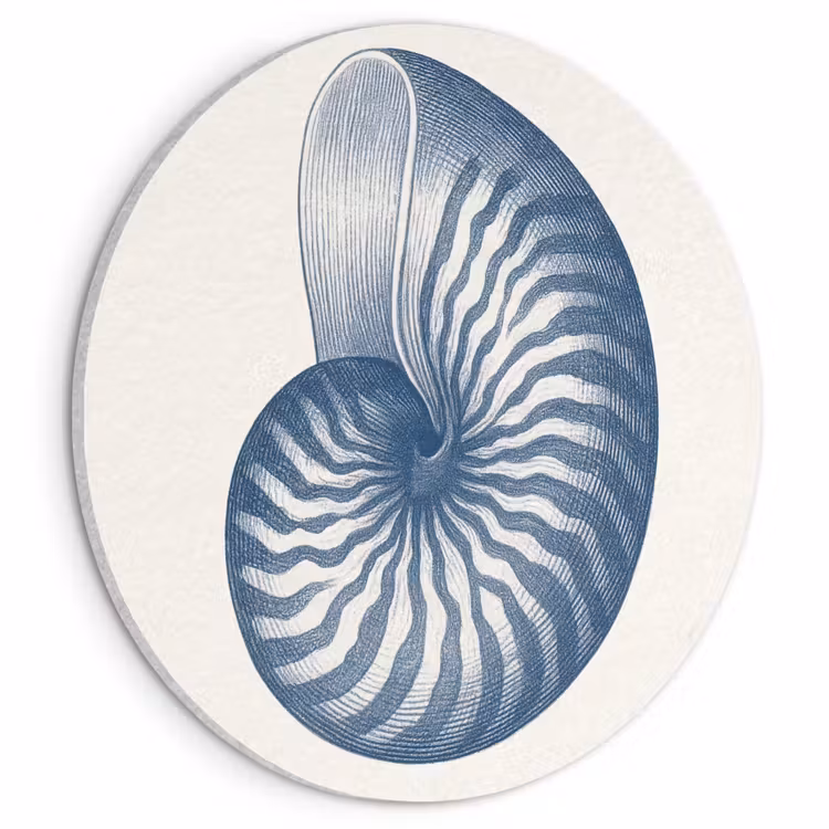 Akoestisch schilderij rond - Blauw - Schelp - Spiraal — 1