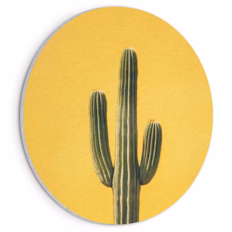 Akoestisch schilderij rond - Cactus - Groen - Minimalistisch — 1