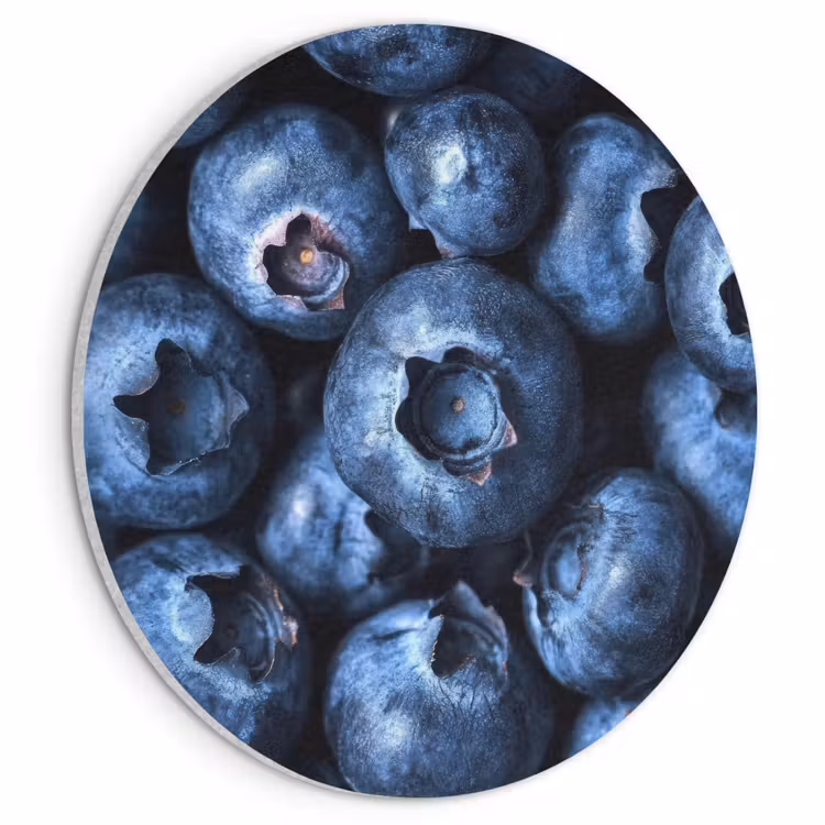 Akoestisch schilderij rond - Bessen - Blauw - Fruit — 1