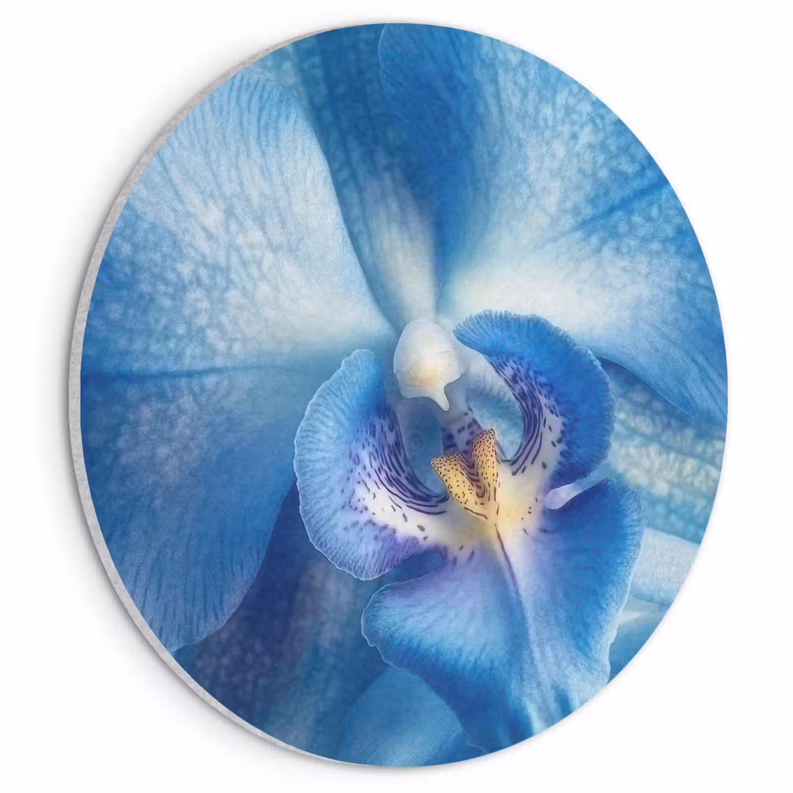 Akoestisch schilderij rond - Blauw - Orchidee - Elegeant — 1