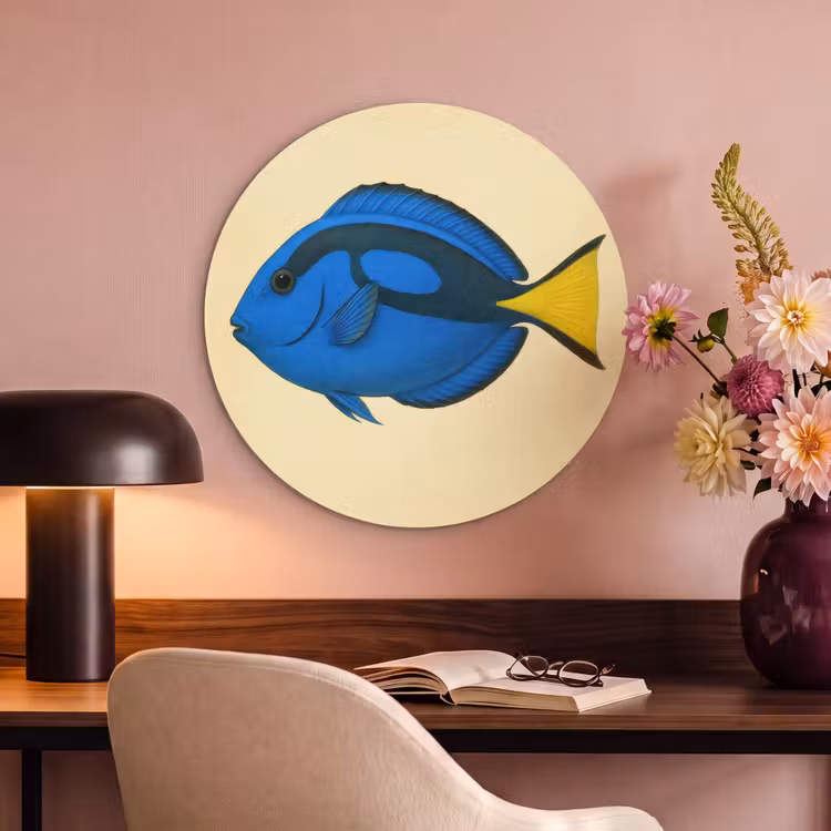 Akoestisch schilderij rond - Blauw - Dory - Vis - Staartvin — 2