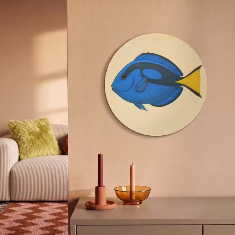 Akoestisch schilderij rond - Blauw - Dory - Vis - Staartvin — 3