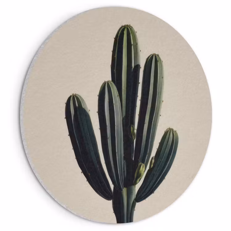 Akoestisch schilderij rond - Cactus - Subtiel - Groen — 1