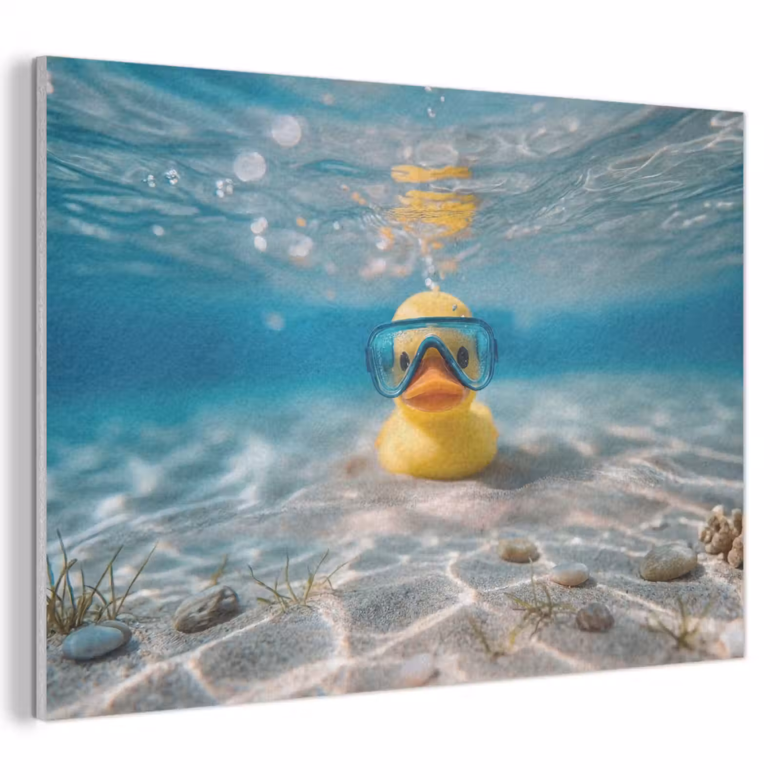 Akoestisch schilderij - Duikbril - Eend - Water — 1