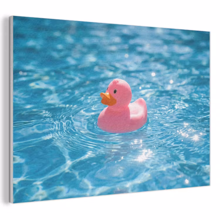 Akoestisch schilderij - Badeend - Dobberend - Roze — 1