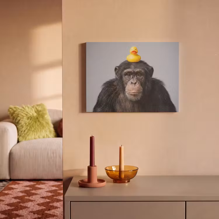 Akoestisch schilderij - Chimpansee - Badeend - Grijs — 2