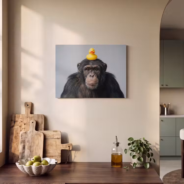 Akoestisch schilderij - Chimpansee - Badeend - Grijs — 3