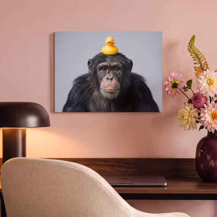 Akoestisch schilderij - Chimpansee - Badeend - Grijs — 4