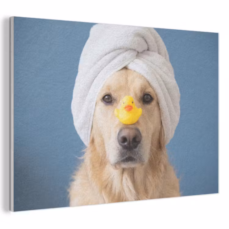 Akoestisch schilderij - Hond - Badeend - Geel — 1