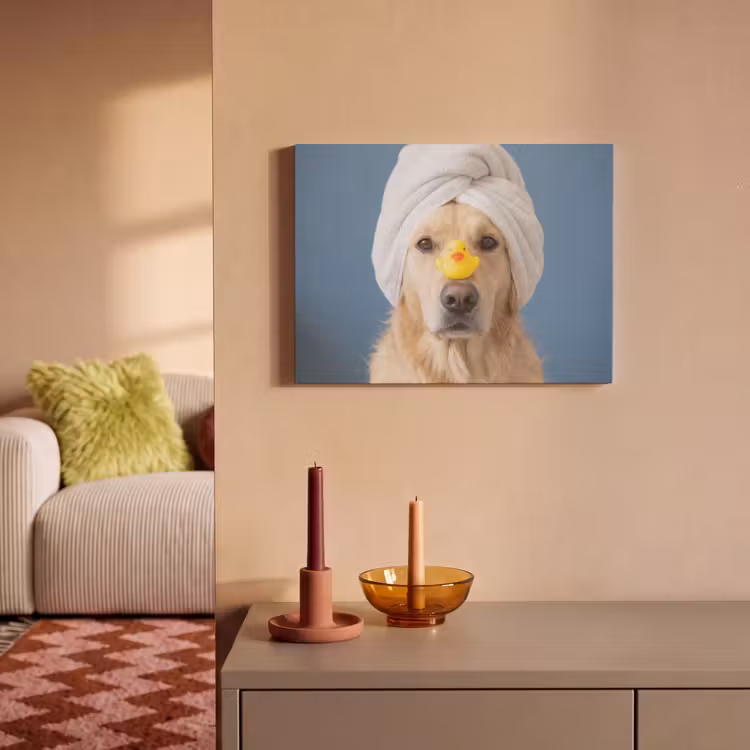 Akoestisch schilderij - Hond - Badeend - Geel — 2