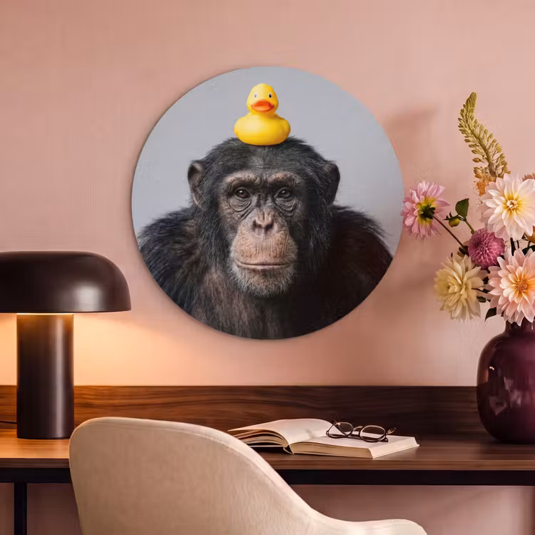 Akoestisch schilderij rond - Chimpansee - Badeend - Grijs — 2