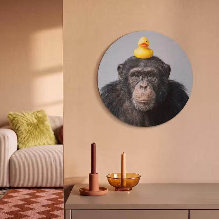 Akoestisch schilderij rond - Chimpansee - Badeend - Grijs — 3