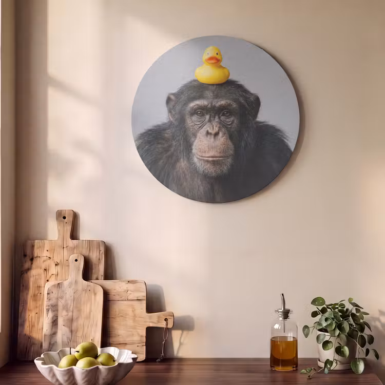Akoestisch schilderij rond - Chimpansee - Badeend - Grijs — 4