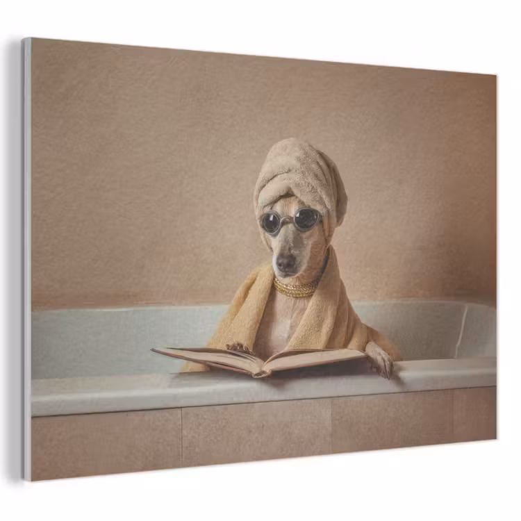 Akoestisch schilderij - Bad - Hond - Boek - Zonnebril — 1
