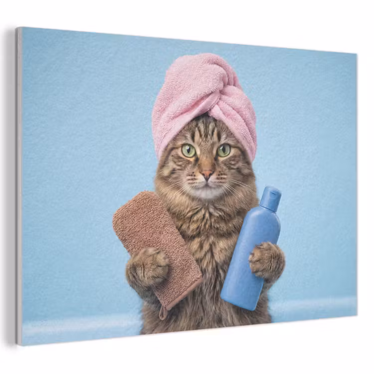 Akoestisch schilderij - Kat - Handdoek - Washand - Zeep — 1