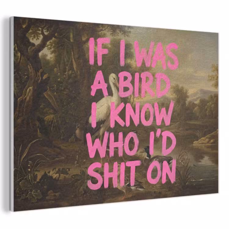 Akoestisch schilderij - Klassiek - Humor - Roze — 1